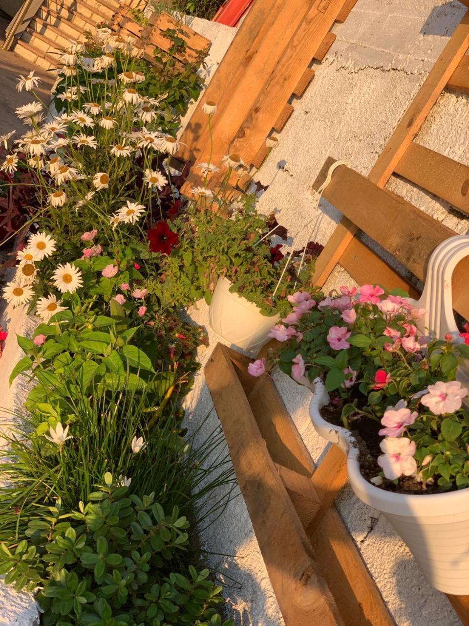 Kenza Apartments Sarandë Cameră foto
